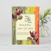 サマーガーデン救フローラチューリップ 招待状 (スタンド正面)