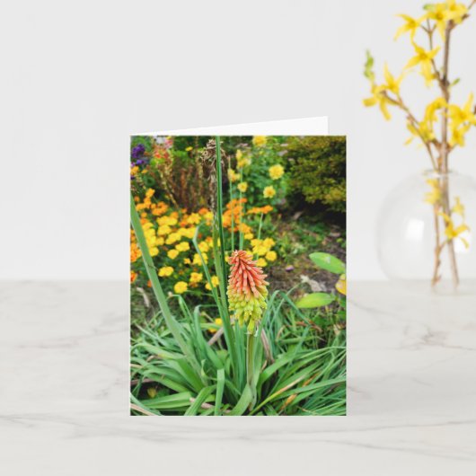 サマーガーデン カード (黄色い花)