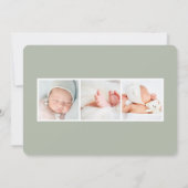 サマーガーデン |フォト誕生 案内状 (裏面)