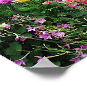 サマーガーデン ポスター (角)