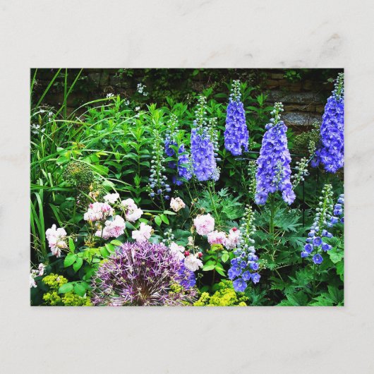 サマーガーデン ポストカード (正面)