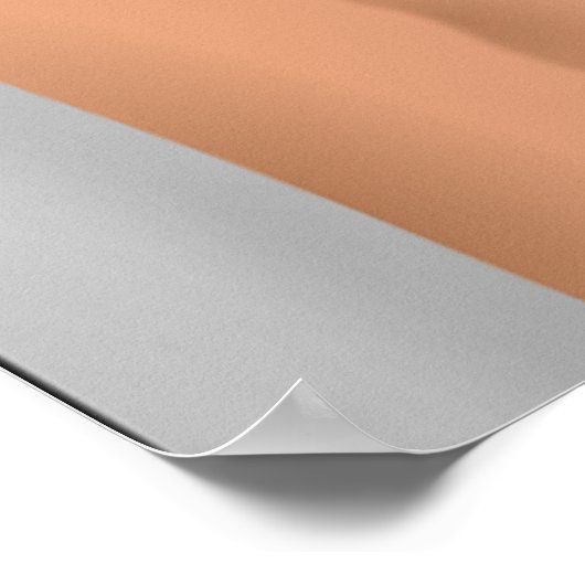 サマーガール ポスター (角)