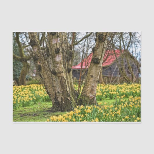 サマーキャビンコンプリート、古い木と黄色い花 薄葉紙 (正面)