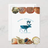 サマークリスマスビーチシーシェルトインデア シーズンポストカード (正面/裏面)