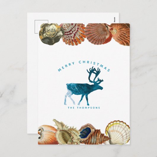 サマークリスマスビーチシーシェルトインデア シーズンポストカード (正面/裏面)