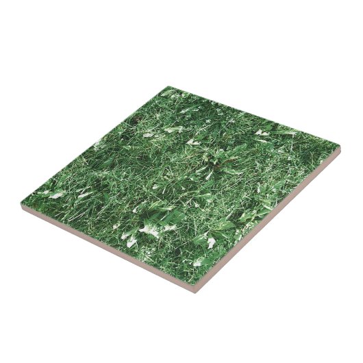 サマーグラス タイル (側面)