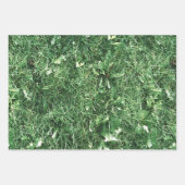 サマーグラス ラッピングペーパーシート (正面)