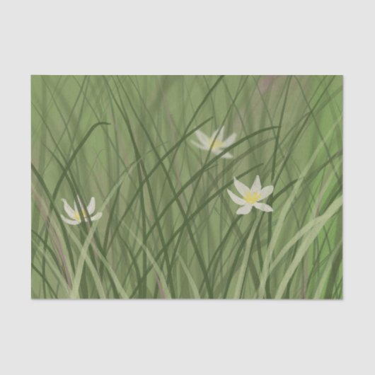 サマーグラス 薄葉紙 (正面)