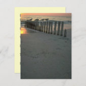 サマーコテージキャンプ招待状ビーチパーティの招待状 招待状 (正面/裏面)