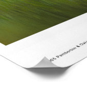 サマーサッド ポスター (角)