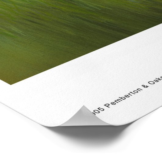 サマーサッド ポスター (角)