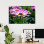 サマーサンシャイン ポスター (ホームオフィス)