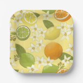 サマーシトラスフルーツ紙プレート ペーパープレート (正面)
