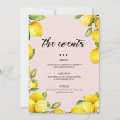 サマーシトラスレモンバチェロレッテ週末 招待状 (裏面)