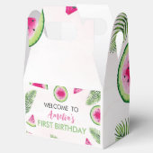 サマースイカ誕生日お願いボックス フェイバーボックス (オープン)