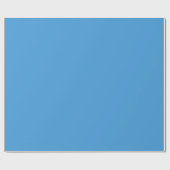 サマースカイブルーラッピング紙転が ラッピングペーパー (フラット)