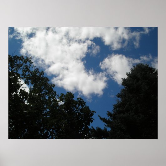 サマースカイ ポスター (正面)