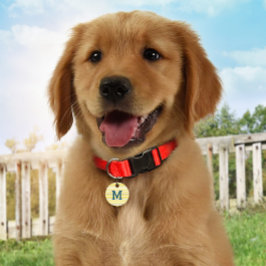 サマーストライプパーソナライズされたモノグラムID犬ラベル ペット ネームタグ