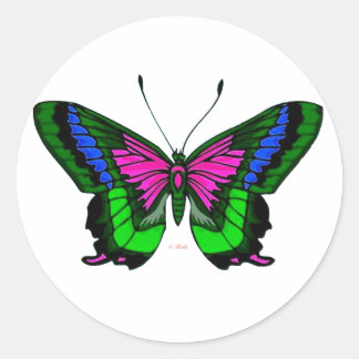 サマースブライトカラー5 ラウンドシール