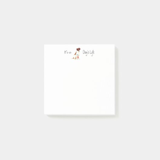 サマースムーズキツネテリア ポストイット (正面)