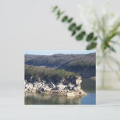 サマーズビル湖 ポストカード (スタンド正面)