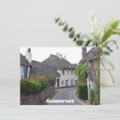 サマーセットカード・ポーロック (スタンド正面)