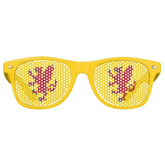 サマーセットレトロサングラス国旗 レトロサングラス (正面)