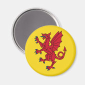 サマーセット磁石国旗 マグネット (正面/裏面)