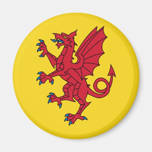 サマーセット磁石国旗 マグネット (正面)