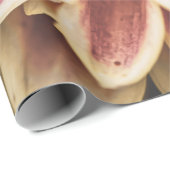 サマーダリアフラワー(フローラアート) ラッピングペーパー (ロールコーナー)