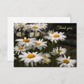 サマーデイジーフラットサンキューカード サンキューカード (正面/裏面)