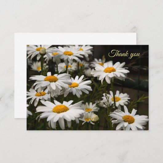 サマーデイジーフラットサンキューカード サンキューカード (正面/裏面)