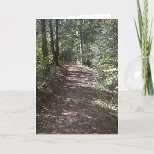 サマートレイル シーズンカード (正面)