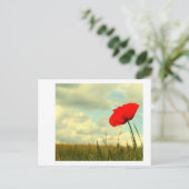 サマードリーム ポストカード (スタンド正面)