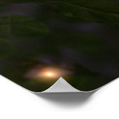 サマーナイトライトプリント ポスター (角)