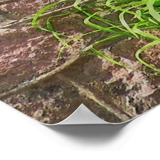 サマーハウス ポスター (角)