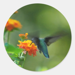 サマーハマー！ ラウンドシール