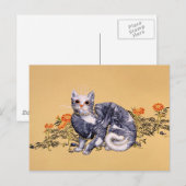 サマーハンター ポストカード (正面/裏面)