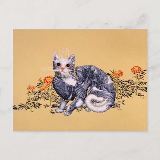 サマーハンター ポストカード (正面)