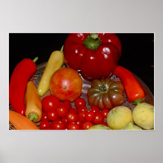 サマーバウンティプリント ポスター (正面)