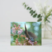 サマーバタフライブルー ポストカード (スタンド正面)