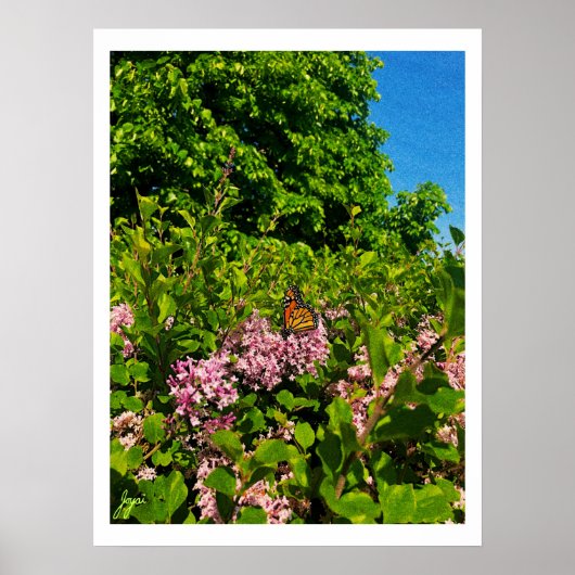 サマーバタフライプリント ポスター (正面)