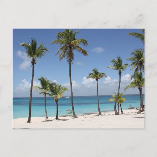 サマーパラダイス シーズンポストカード (正面)