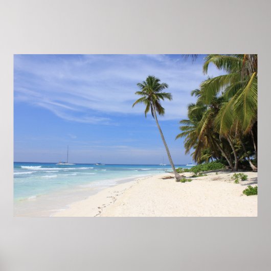 サマーパラダイス ポスター (正面)