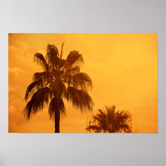 サマーパームビーチデザイン ポスター (正面)