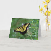 サマービューティー カード (黄色い花)