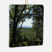 サマービューinアカディア国立公園 セラミックオーナメント (右)