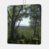 サマービューinアカディア国立公園 セラミックオーナメント (左)