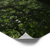 サマービューinアカディア国立公園 ポスター (角)