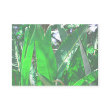 サマービーブスパームツリー葉淡い色のグリーンパステル